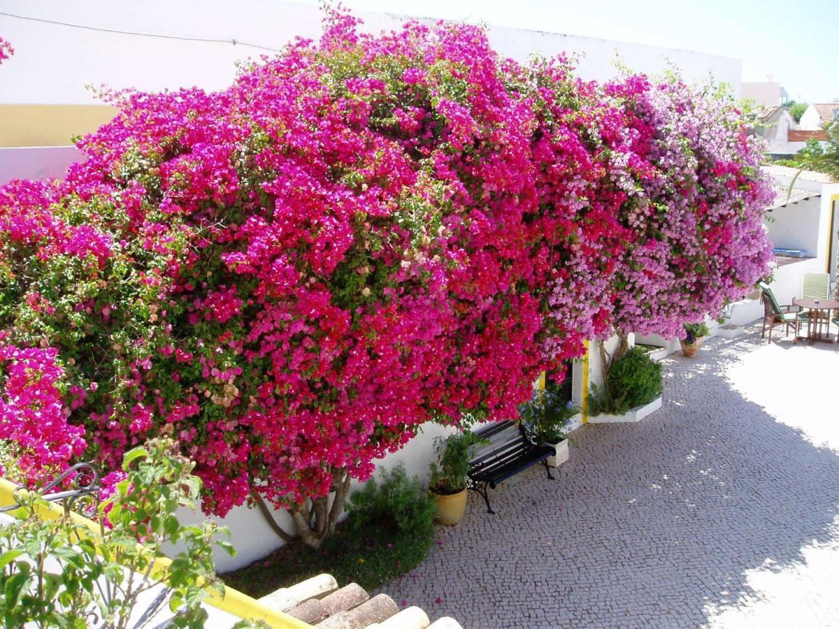 Rio Arade Algarve Manor House 호텔 에스톰바 외부 사진