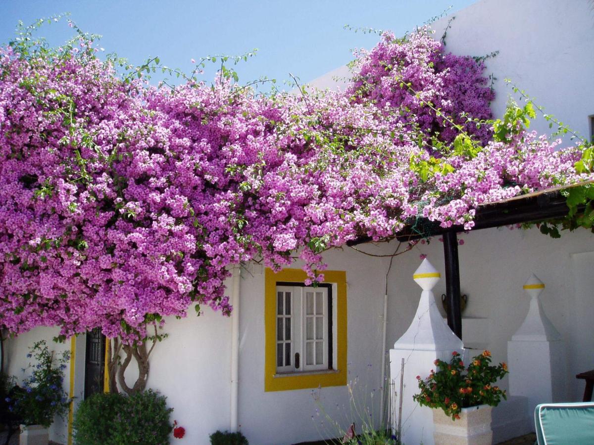 Rio Arade Algarve Manor House 호텔 에스톰바 외부 사진