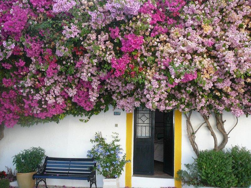Rio Arade Algarve Manor House 호텔 에스톰바 외부 사진